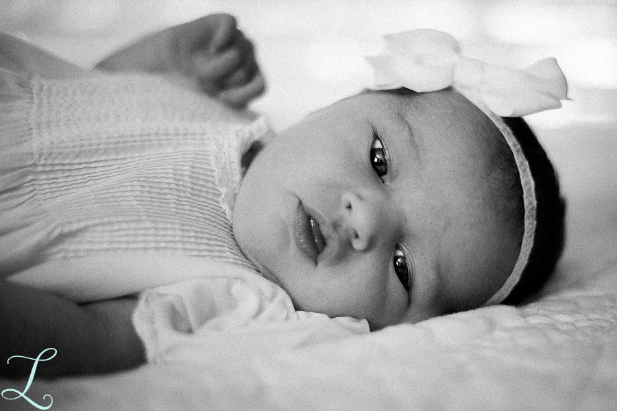 Newborn_Portraits004